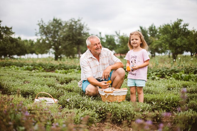 Na poli s bylinkami klečí a usmívá se pěstitel SONNENTORU se svou malou vnučkou. | © SONNENTOR